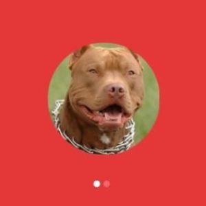 Meet your Posher, Xavier